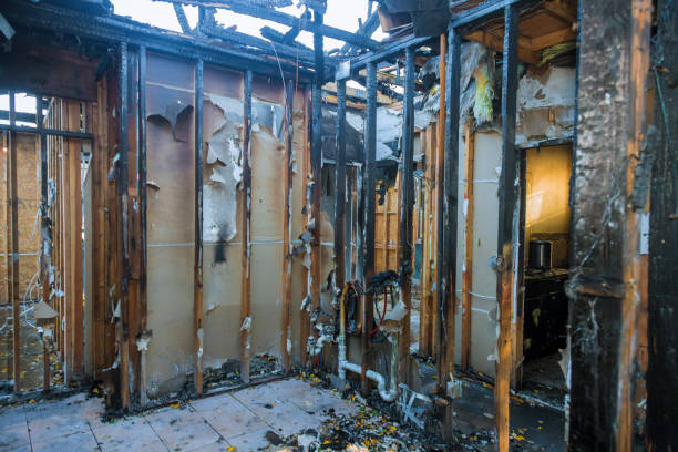 Professional Fire Damage Removal technician working in Columbus, NE